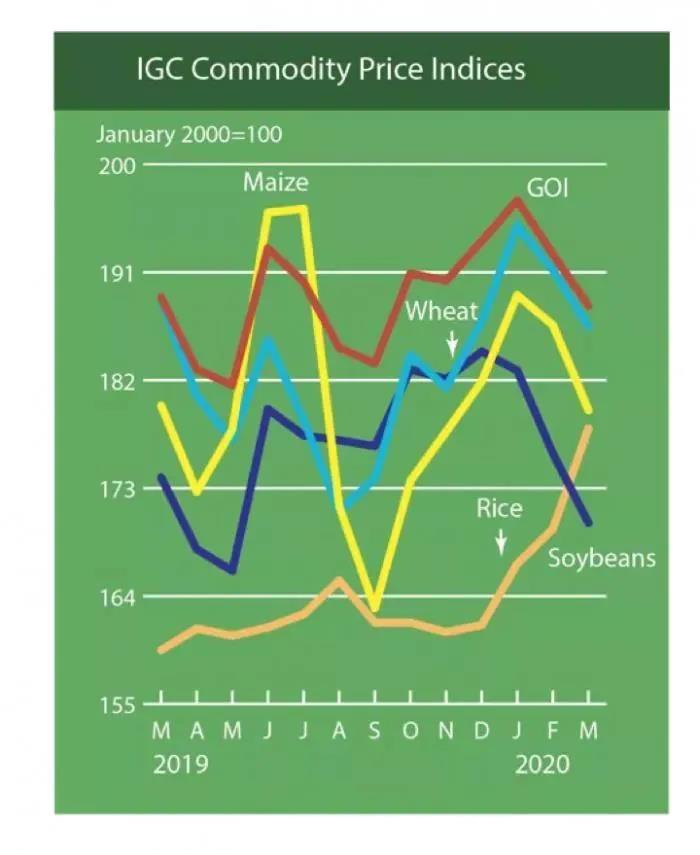 愛爾蘭數據 移民愛爾蘭